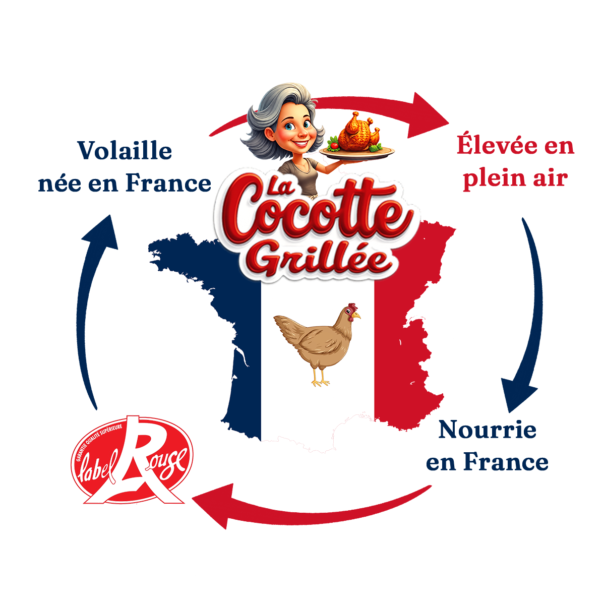 Cycle de la volaille française La Cocotte Grillée